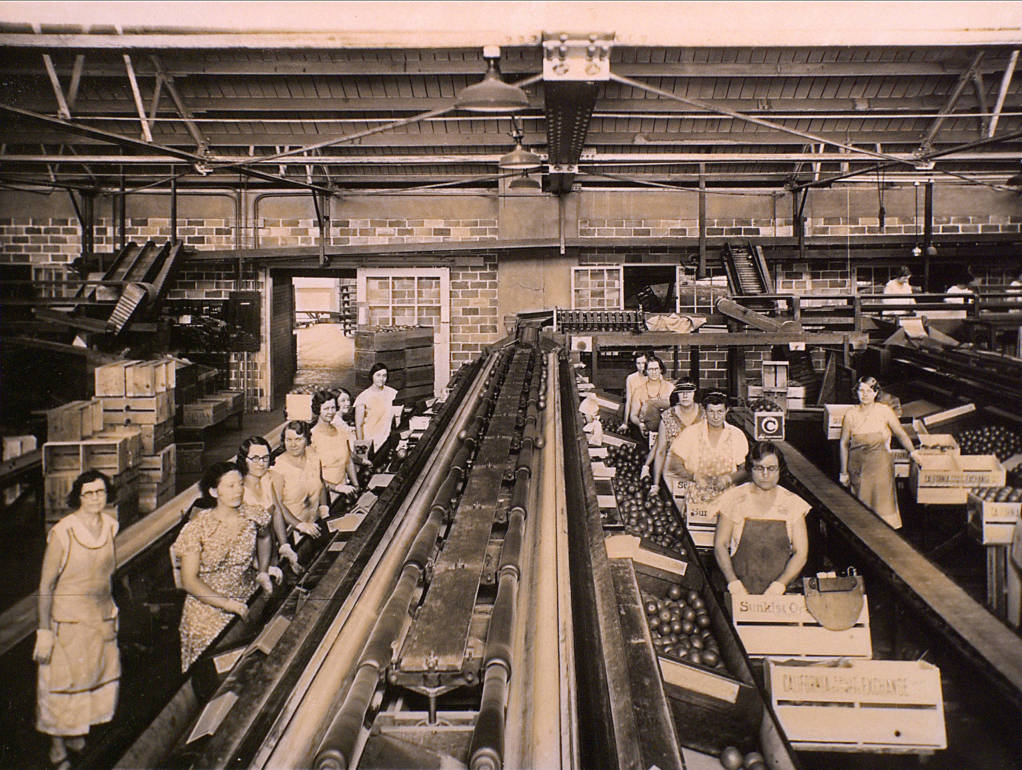 Find Photographs of your Ancestor Online – part 3